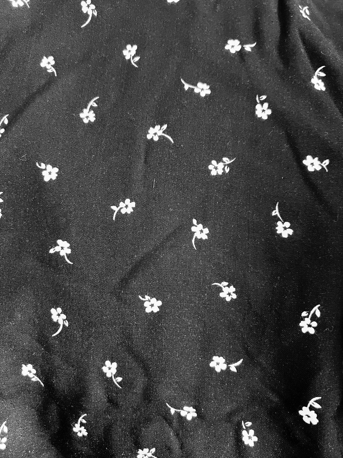 Black & White Garden