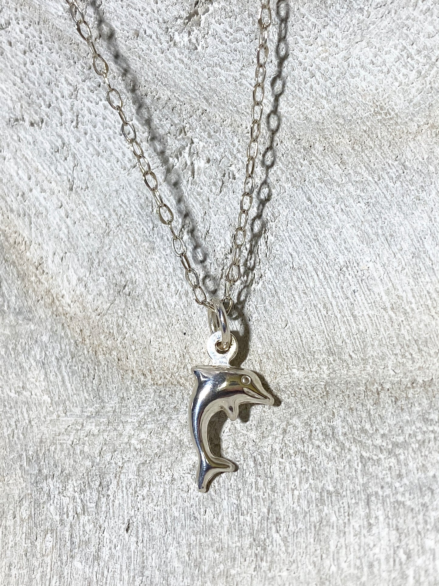 Silver Charm Necklace